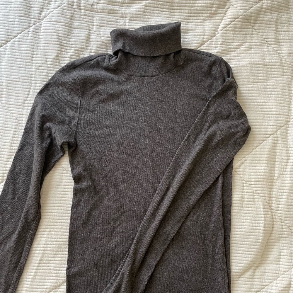 Everlane Pima-Rib Turtleneck